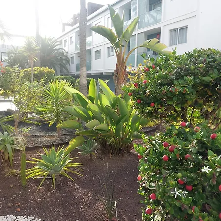 Grazioso Al Bristol Sunset Vista Con Air Conditioning * Corralejo